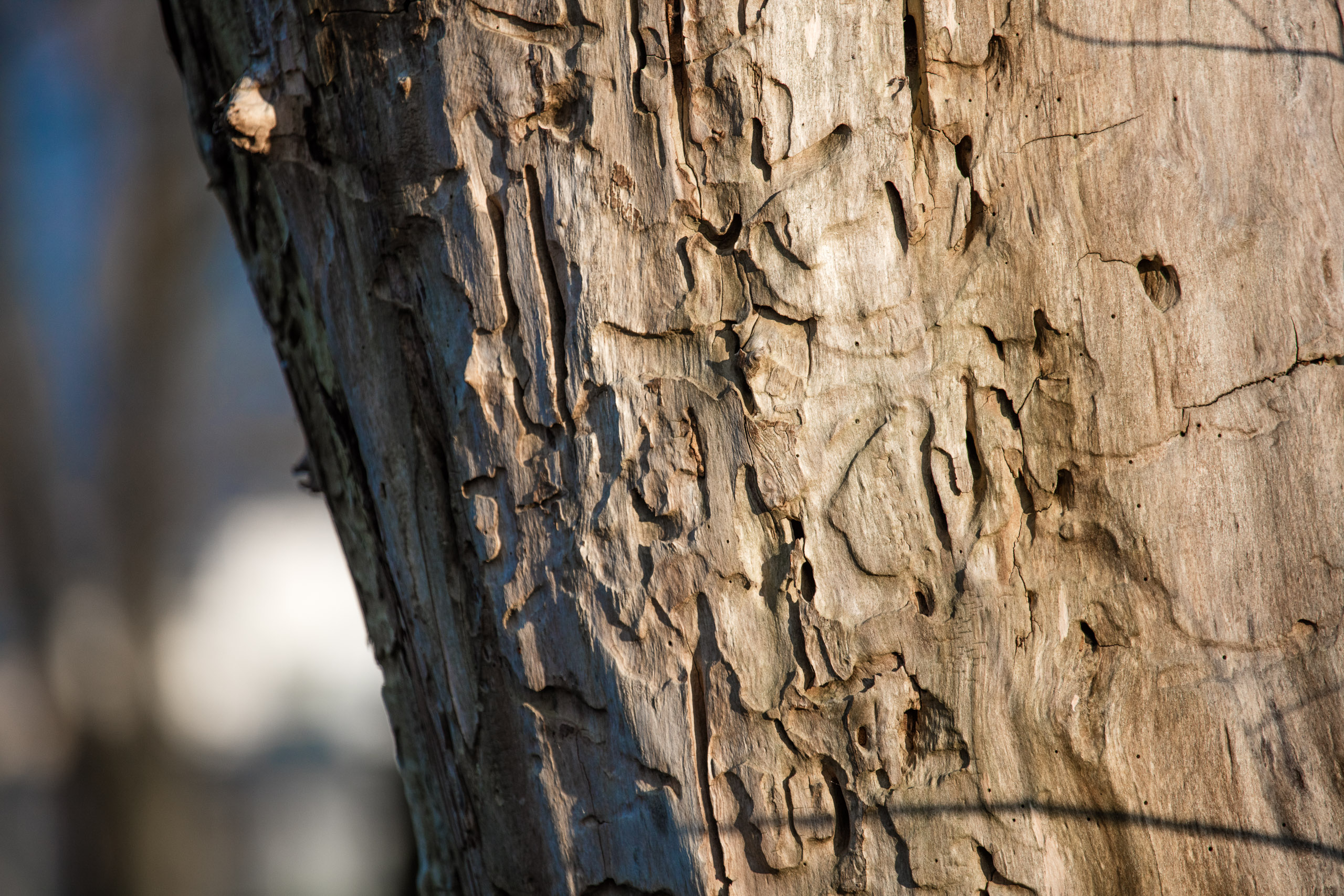 20160319173854 DP017824